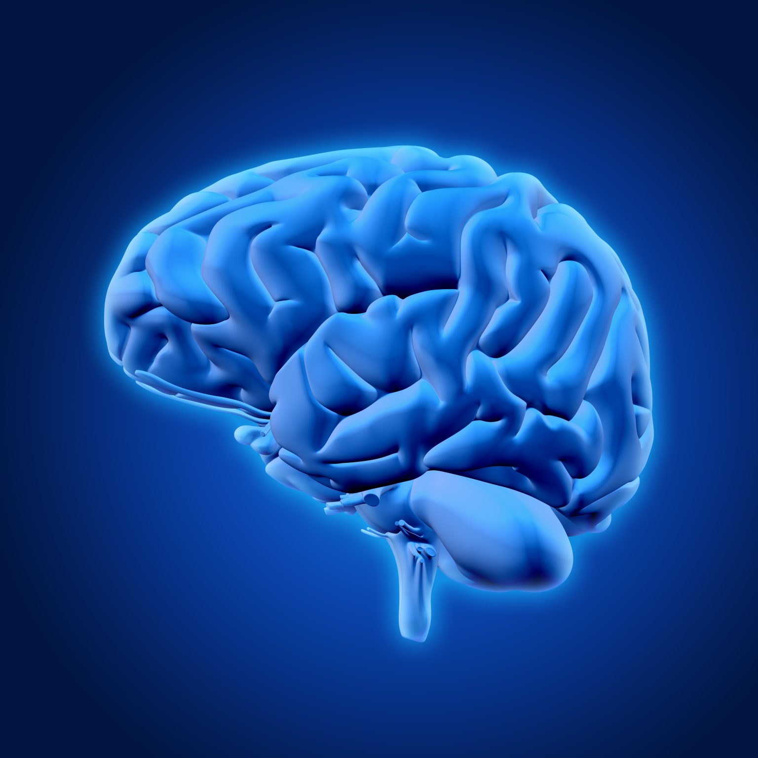 How Does Anxiety Affect The Brain? - Telapsychiatry